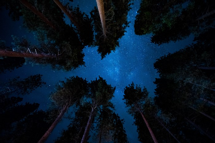 Yosemite National Park at Night with Milky Way