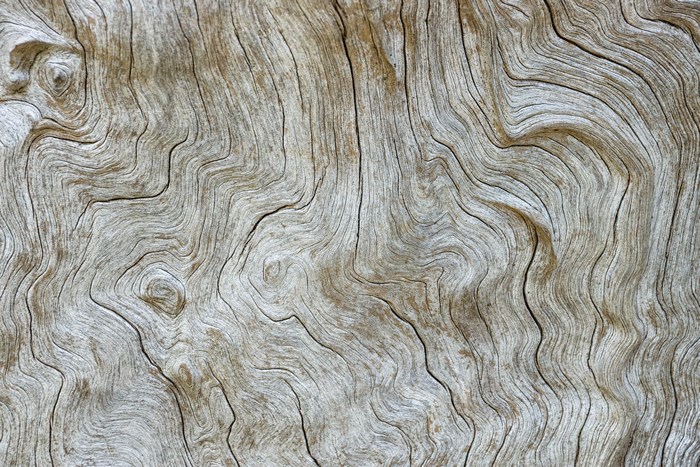 Close-up of weathered wood grain pattern