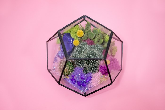 Geometric terrarium with colorful succulents and crystals