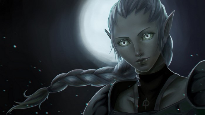Elf warrior with braid and armor