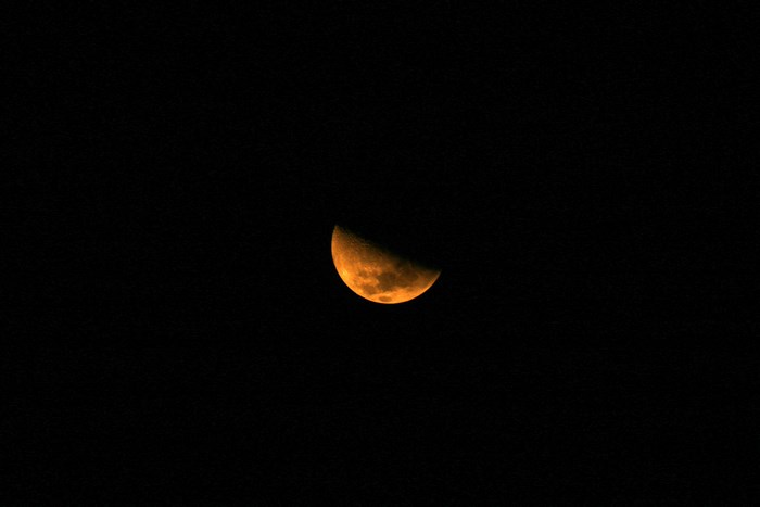 Half moon in the night sky