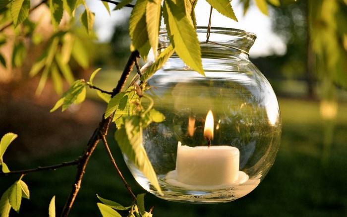 Candle in a glass lantern hanging from a tree