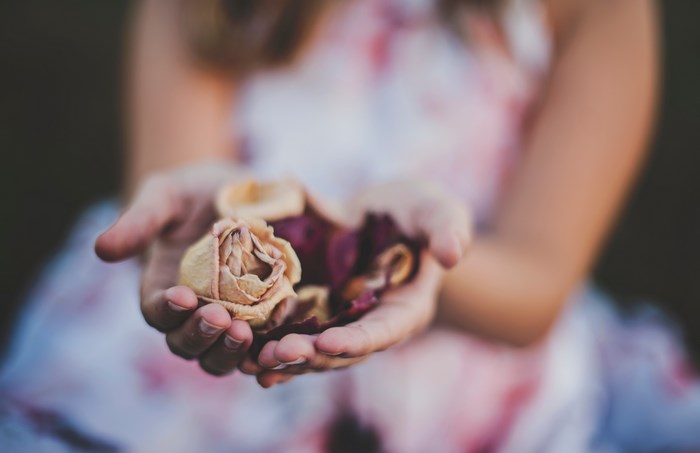 Woman holding dried roses in cupped hands