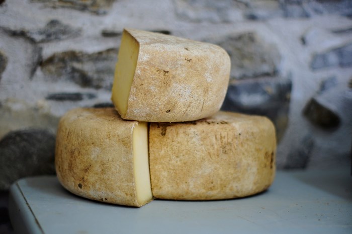 Two wheels of cheese and a wedge