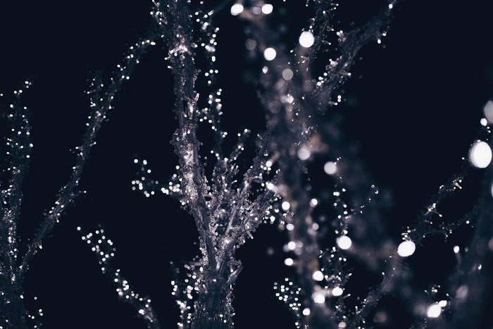 Close up of a tree decorated with lights at night