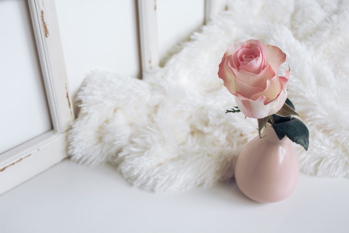 Pink rose in a vase on a white rug
