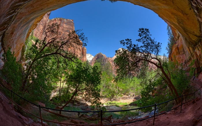 View from a cave looking out at Zion National Park