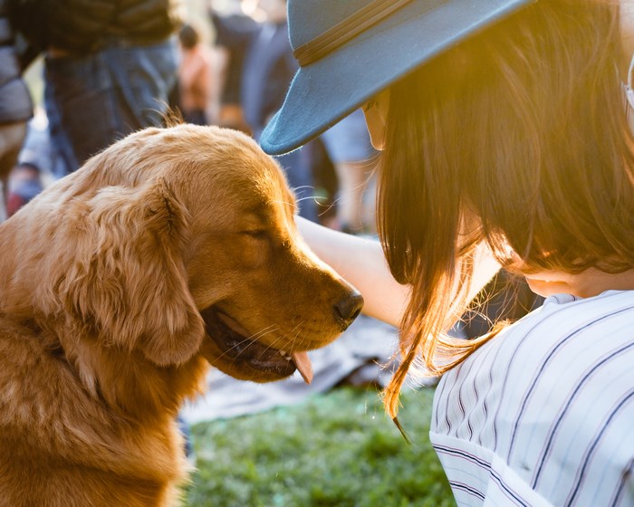 Woman petting a golden retriever dog in sunlight