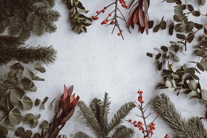 Christmas foliage and berries on a textured surface