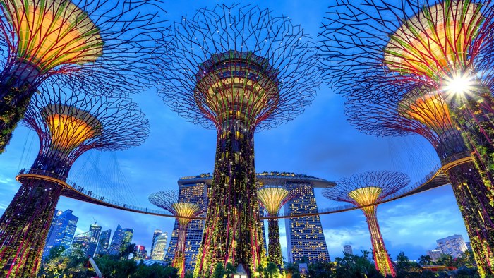 Gardens by the Bay Supertrees at night