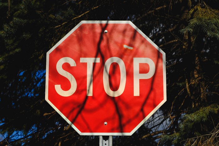 Red stop sign with tree branches
