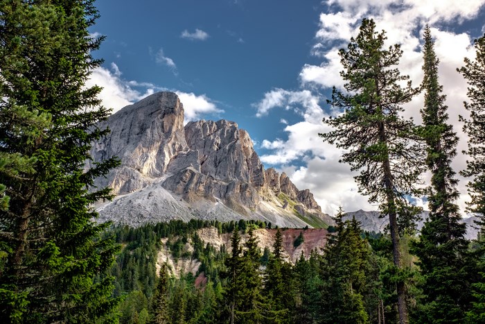 Rocky mountain range with pine forest and clouds