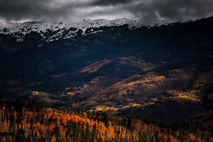 Dramatic Autumn Forest with Snowy Mountain and Stormy Sky