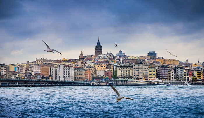 Istanbul cityscape with Galata Tower and seagulls
