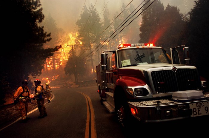 Firefighters Battling Forest Blaze with Fire Truck
