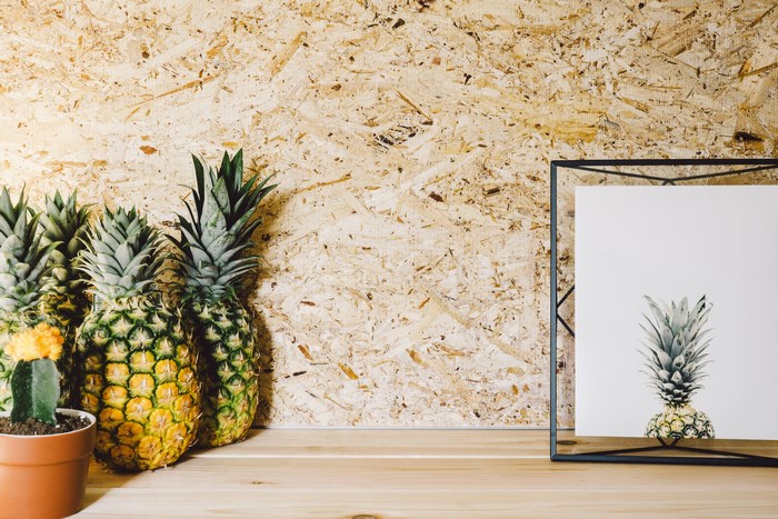 Pineapples and a cactus on a wooden shelf