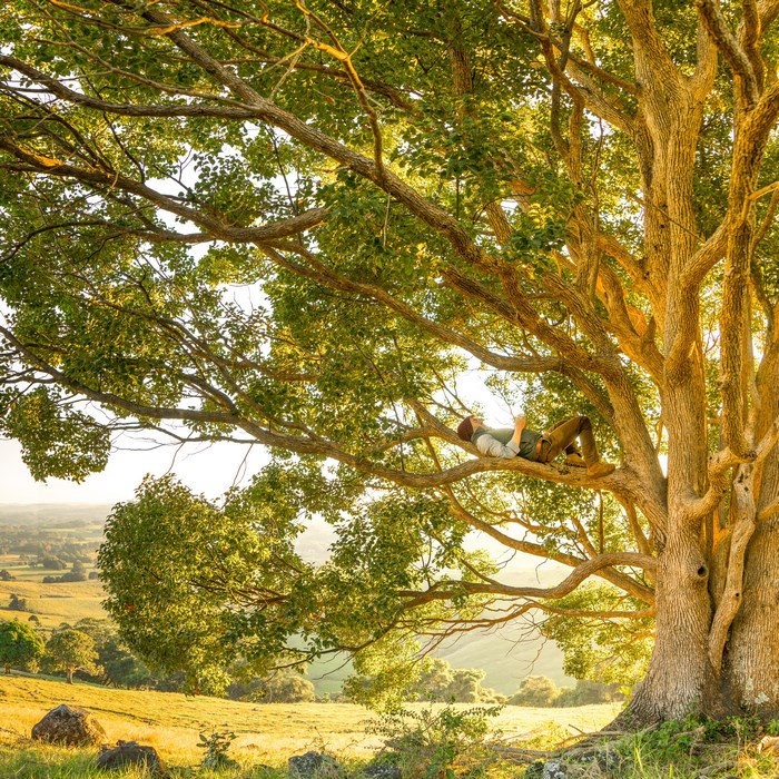 Man relaxing on a large tree branch in the countryside