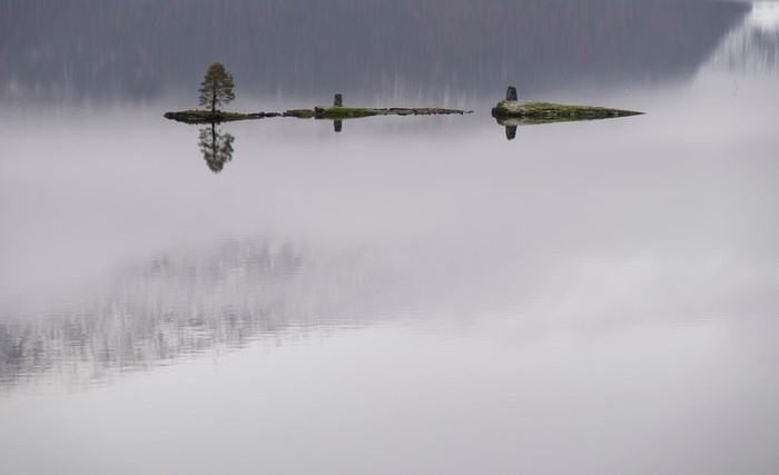 Tree and rocks on islands in a misty lake