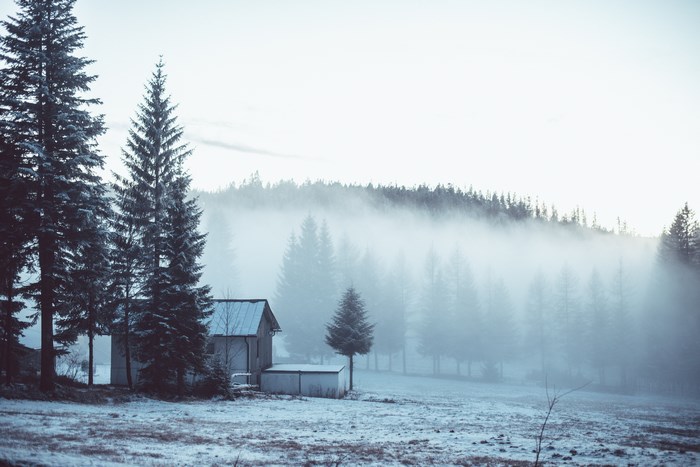 Foggy Winter Cabin in Pine Forest