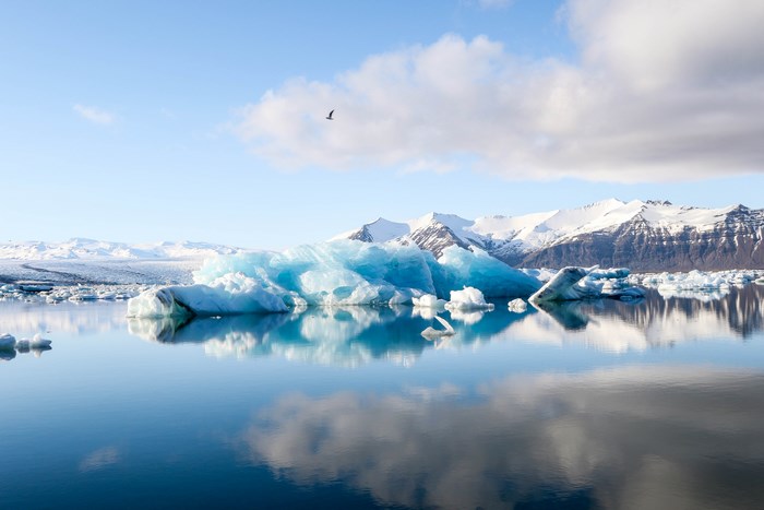 Icebergs floating in a glacial lake in Iceland