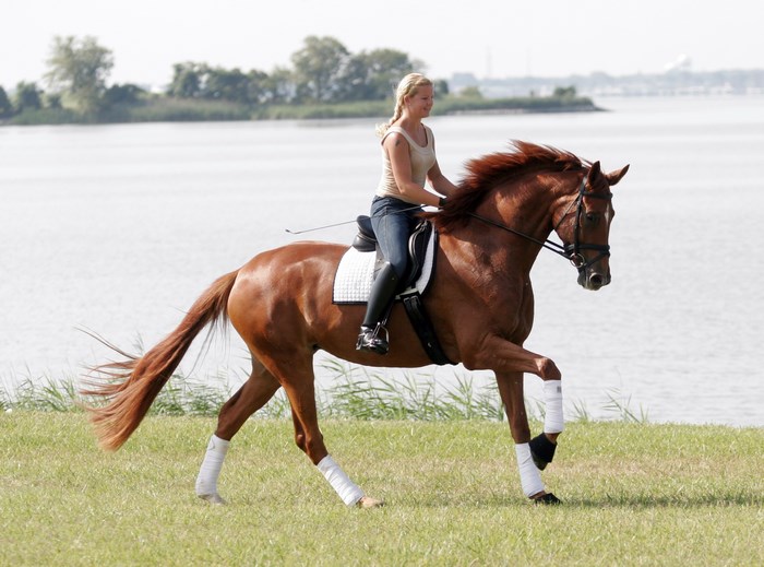 Woman riding a brown horse by the water