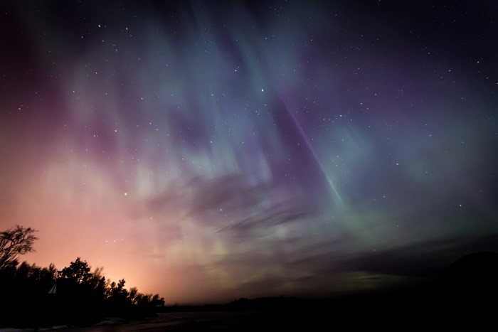Aurora Borealis over silhouetted trees at night