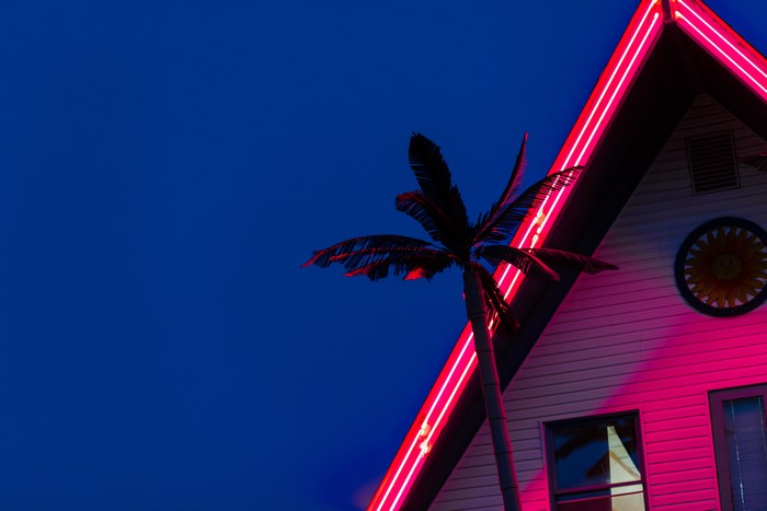 Palm tree and house with neon lights at night