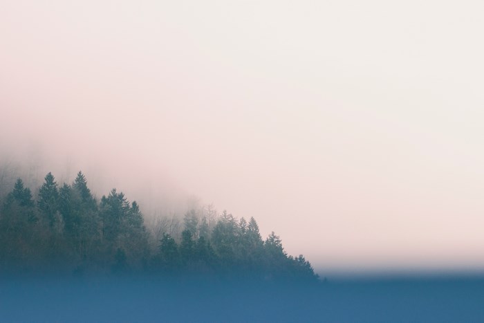 Misty forest landscape with blue foreground