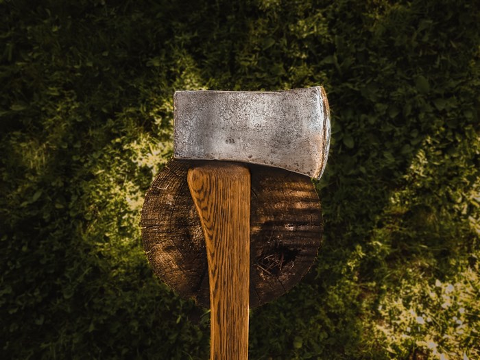 Axe stuck in a tree stump outdoors
