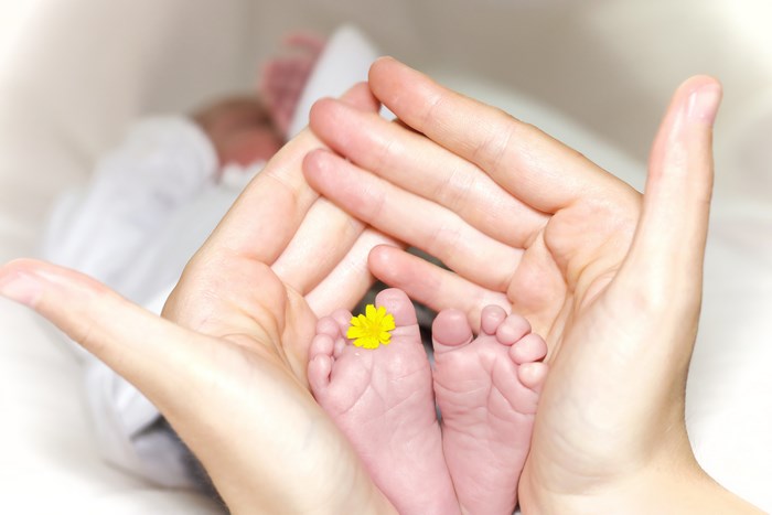 Mother's Hands Holding Newborn Baby's Feet with Flower