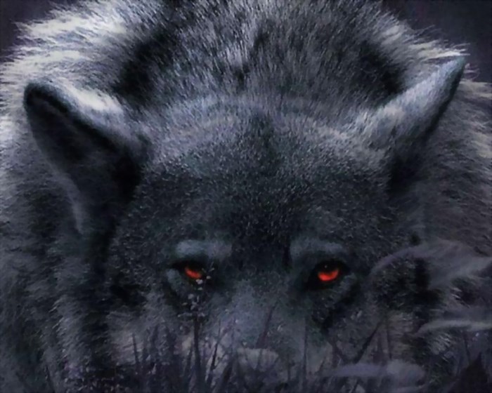 Close-up of a dark wolf with glowing red eyes