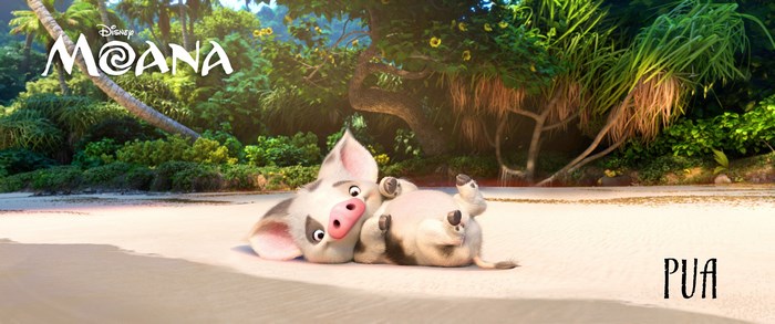 Pua the pig from Disney's Moana on a beach