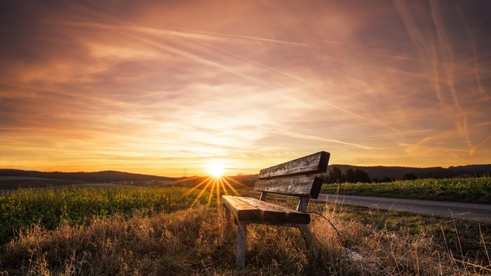 Wooden bench at sunset in a field