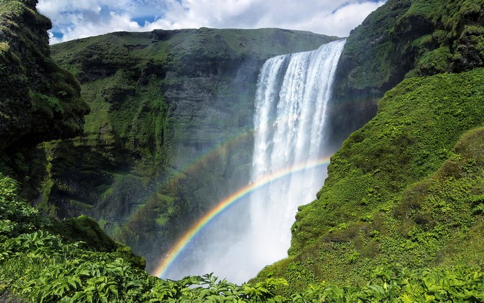 Waterfall with Rainbow in Lush Green Landscape