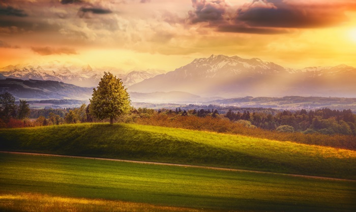 Switzerland 4K landscape with mountains and tree