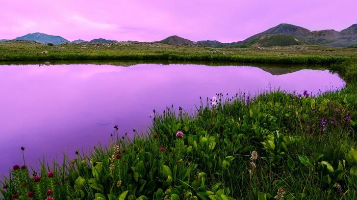 Purple lake and mountains with green grass and flowers