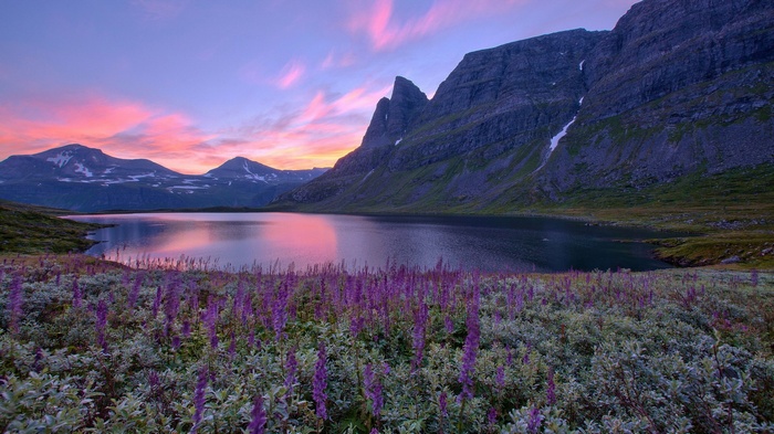 Lake and mountains at sunset with purple flowers