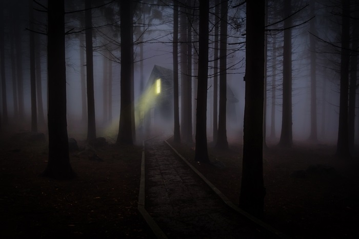 House in foggy forest with light