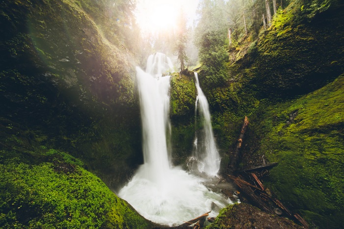 Waterfall in a mossy forest with sun rays