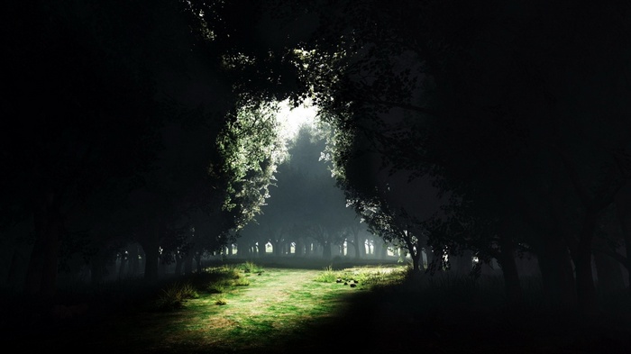 A path through a dark, misty forest with light breaking through trees