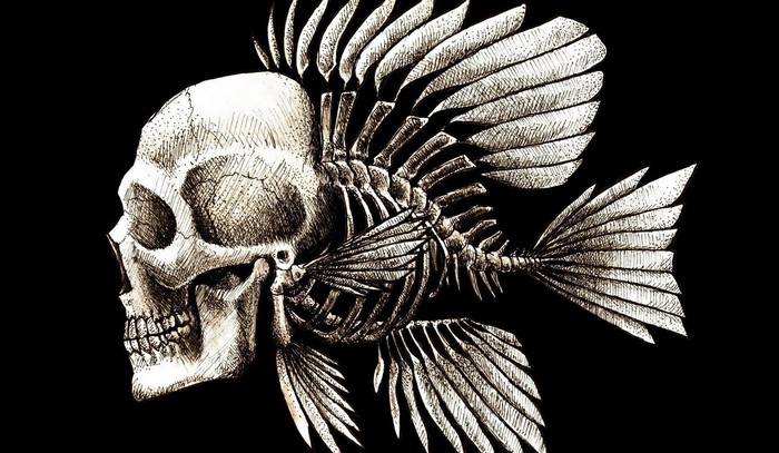 Skull and fish skeleton artwork