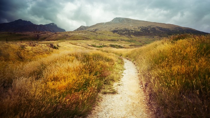 Dirt path through golden field towards mountains