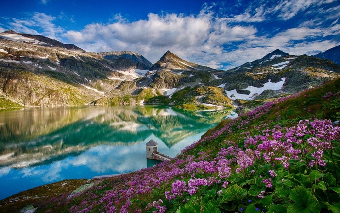 Mountain Lake with Flowers and Reflection