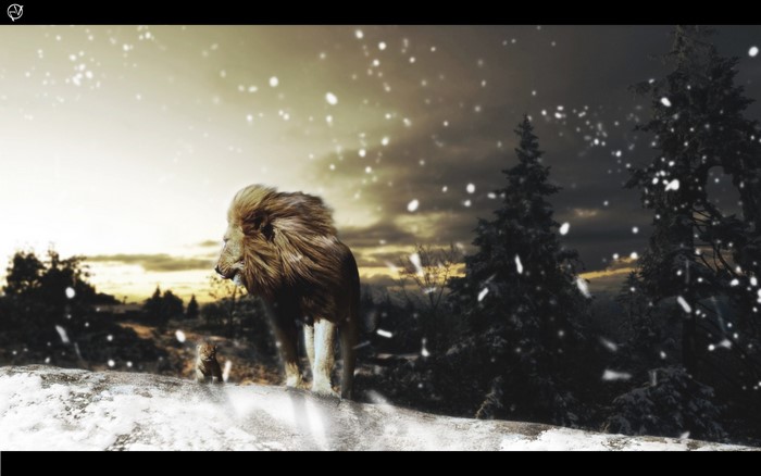 Lion and cub in a snowy landscape