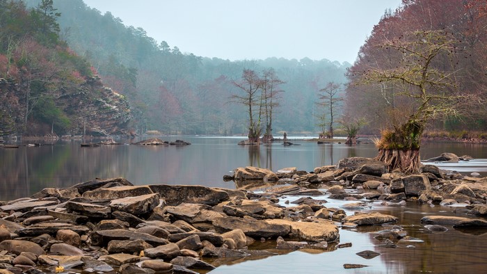 Beavers Bend State Park, Oklahoma Landscape