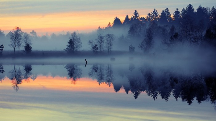 Misty lake and forest at sunset