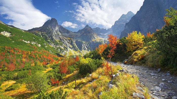 Scenic Fall Path in Tatra Mountains Slovakia
