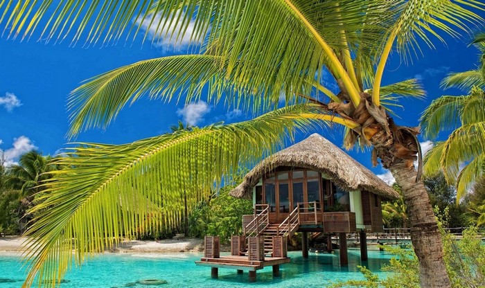 Tropical bungalow over turquoise water with palm trees