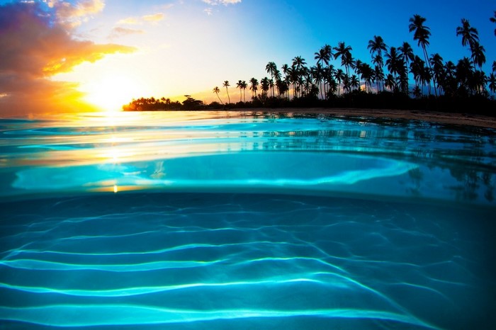 Sunset over tropical beach with palm trees and ocean