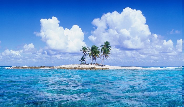 Tropical island with palm trees in the ocean